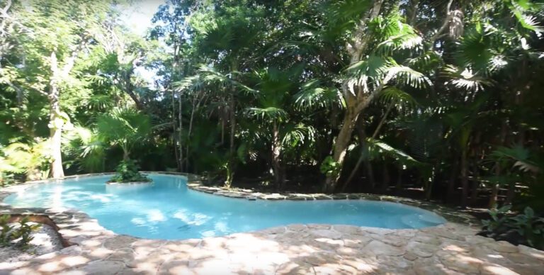 Four Luxury Jungle Villas 1